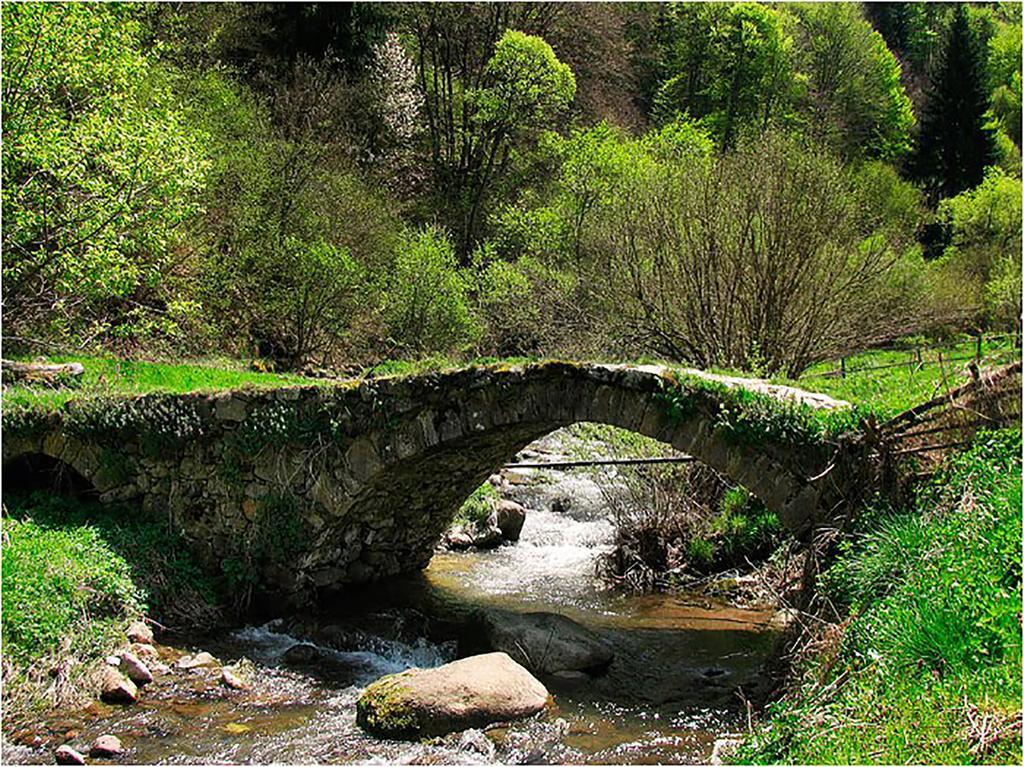 Family Hotel Valchanovata Kashta Fotinovo ภายนอก รูปภาพ